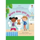 Where Does Poo Go