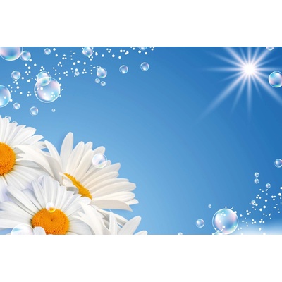 DIMEX ART Флизелинов фототапет маргаритки и мехурчета 375 x 250 см