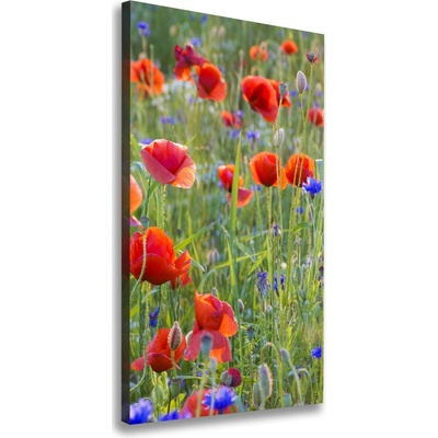 Vertikálny foto obraz na plátne do obývačky Polné maky 50x100 cm