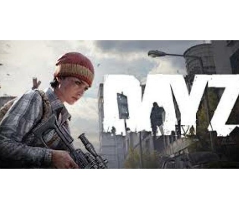 DayZ