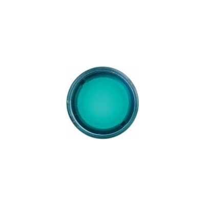 Schneider Electric Green button drive with self-back illumination ZB4BW33
