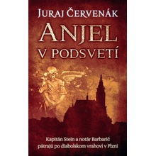 Anjel v podsvetí - Juraj Červenák