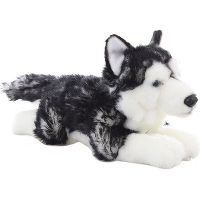 LAM Plyš Husky ležiaci 35 cm