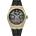 Ingersoll i12907 (i12907)