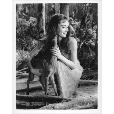 Archive Photos Plagát, Obraz - Audrey Hepburn In 'The Green Mansions', 30 × 40 cm