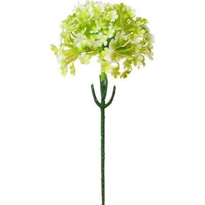 ZÁPICH CESNAK BIE/ZELENÝ 20CM