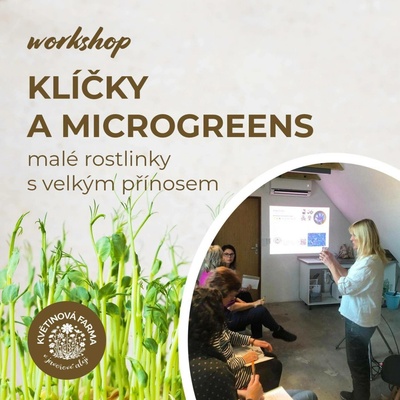 Klíčky a microgreens 2. část: od 12:00 do 14:30