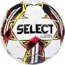 Select Talento DB