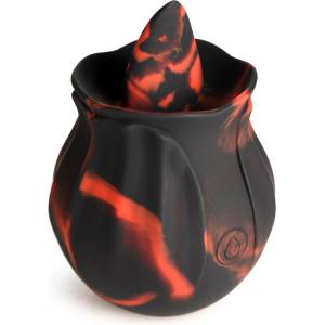 Bloomgasm Black Kiss Rimming Rose