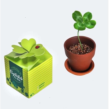 Vypěstuj si čtyřlístek štěstí CZ obsahuje: 1x keramický květináč, 1x kompost, semínka čtyřlístku