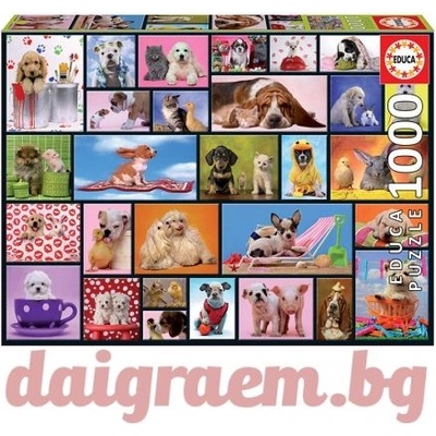 Educa Пъзел educa 15518 - 1000 части - Споделени моменти (edu15518)