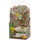 JR Farm Grainless HEALT MIX cincila degu 600 g