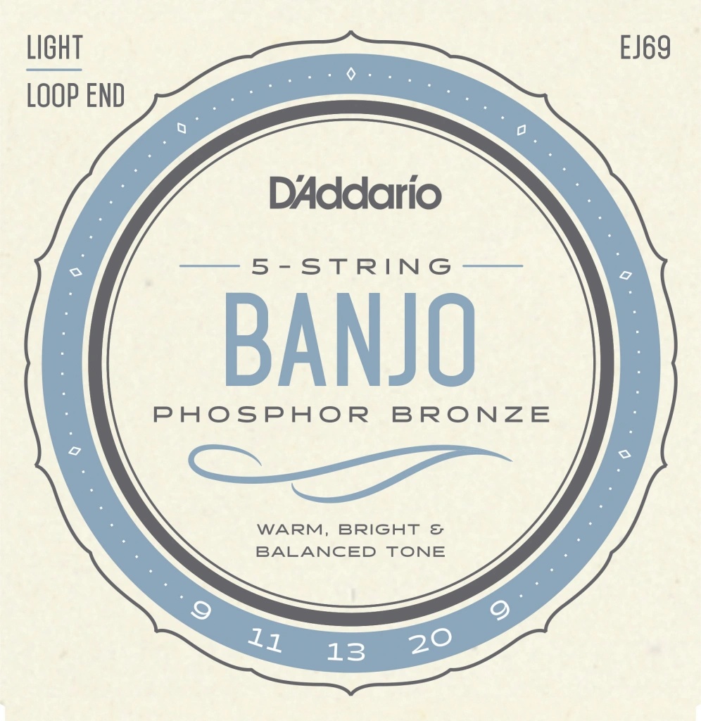 D'addario EJ69