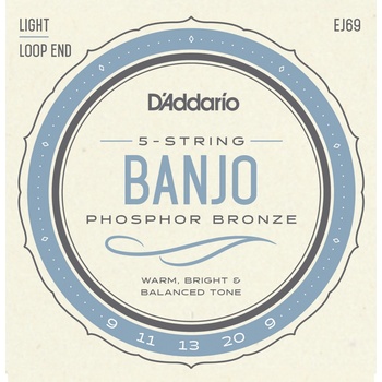 D'addario EJ69