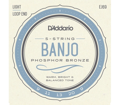 D'addario EJ69