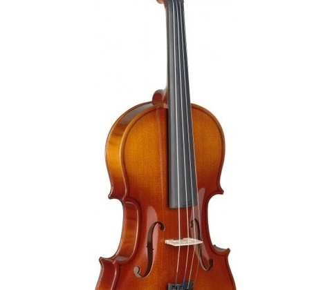 Stagg VN 3/4
