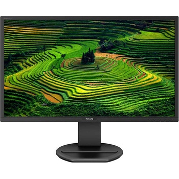 Philips 221B8LHEB