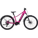 CTM RUBY GX ALLROAD 2026