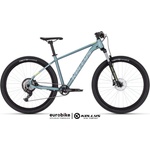 Kellys Spider X50 2025