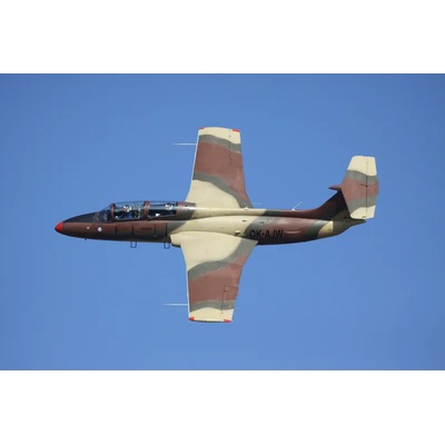 Let stíhačkou L-29 Dolphin