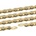 Connex 12sG
