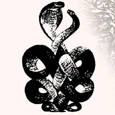 Bardo Pond - Volumes 4 & 5 (Limited Edition) (2 LP) (0809236002259)