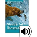 Wolderful Ecosystems + mp3 Pack -
