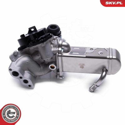 AGR - Ventil ESEN SKV 14SKV238