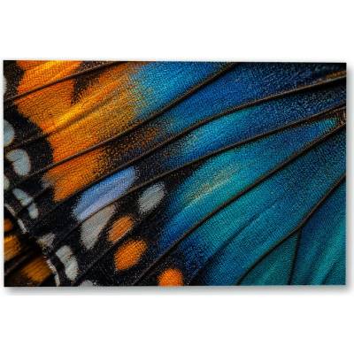 Plakát – Detail modro-oranžového křídla motýla 135 × 90 cm Bez rámu Ne Bez rámu