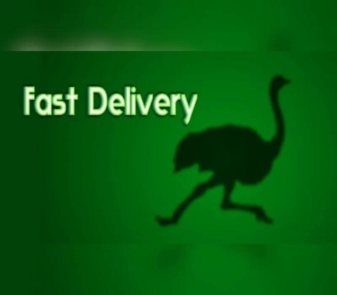 Fast Delivery