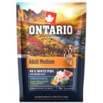 ONTARIO Проба Ontario Adult Medium Fish & Brown Rice 0, 1kg (214-13167)
