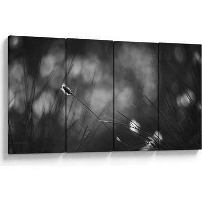 Obraz - Lúčna tráva, štvordielne 160x80 cm