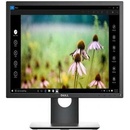 Dell P1917SE