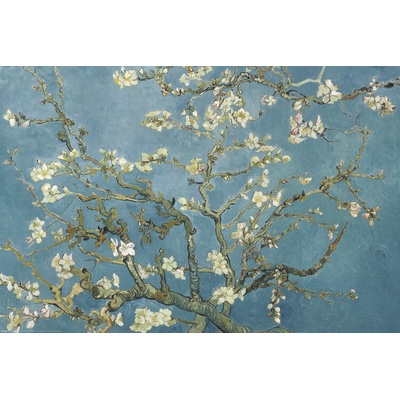 Plagát, Obraz - Mandľové kvety, Vincent van Gogh, 91.5 × 61 cm