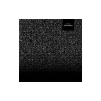 PORTICO QUARTET - Terrain CD