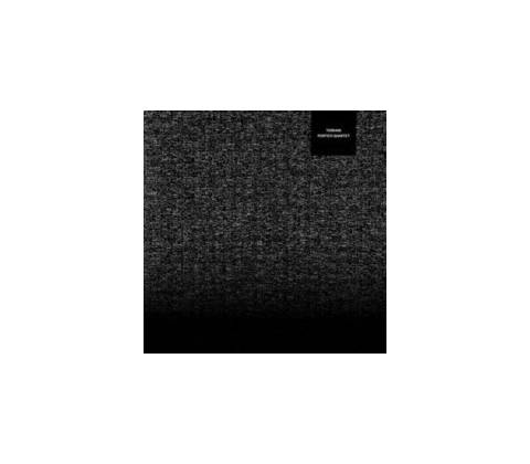 PORTICO QUARTET - Terrain CD