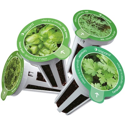 Semená GrowGreen aspara - bazalka