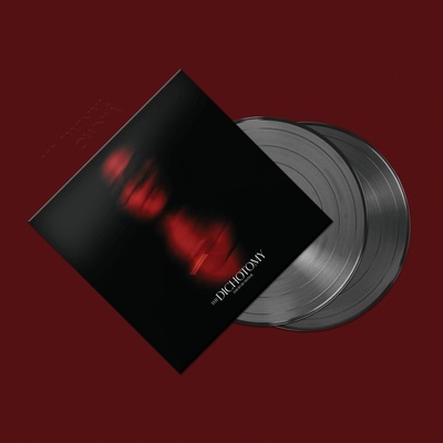 David Kushner - The Dichotomy LP