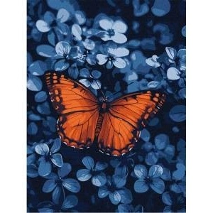 Ideyka Painting by numbers 30x40cm KHO6733 Light in the darkness butterfly AP0072