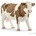 Schleich Farm Life 13801 Simmental Cow