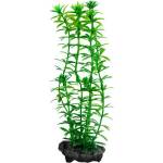 TETRA Egeria densa (Anacharis) - растение Tetra 15 см, S