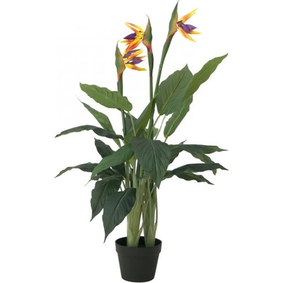 Europalms Rajský květ, 90cm