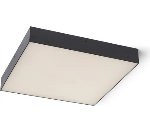 RENDL R13489