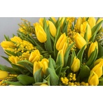 DIMEX ART Флизелинов фототапет букет от лалета 375 x 250 см