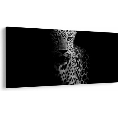 Obraz - Portrét leoparda, jednodielne 250x125 cm