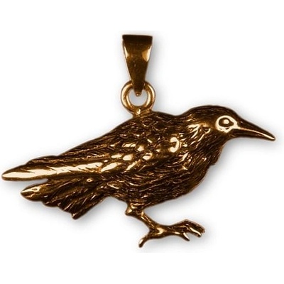 imago Bronzový amulet Havran FC21257X