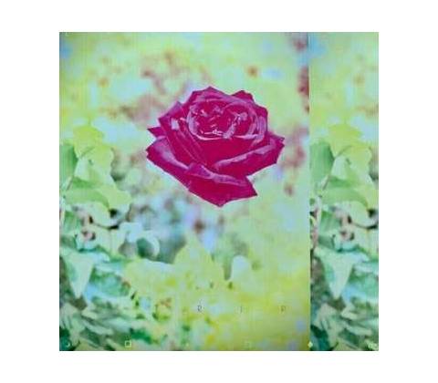 Trip - Lambchop LP