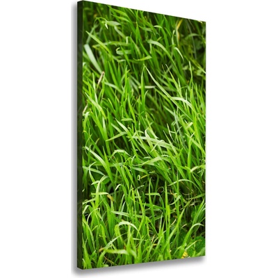 Vertikálny foto obraz tlačený na plátne Tráva 50x100 cm