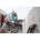 Bosch 1618596231