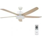 Lucci Air 213176